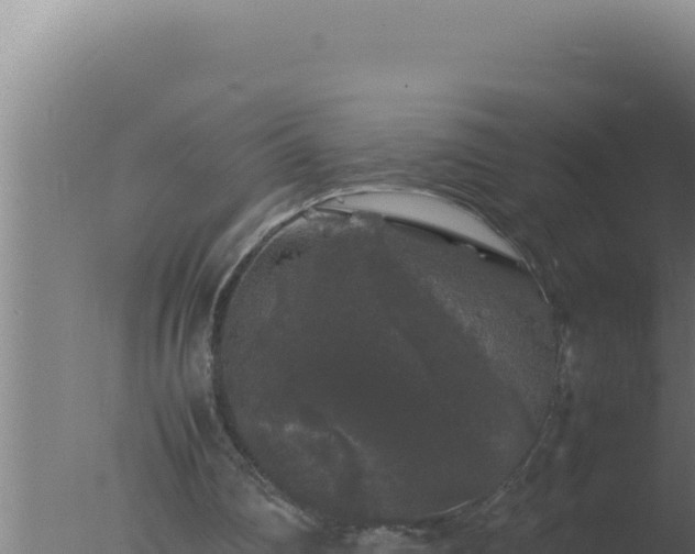 X0000077380290200610271953