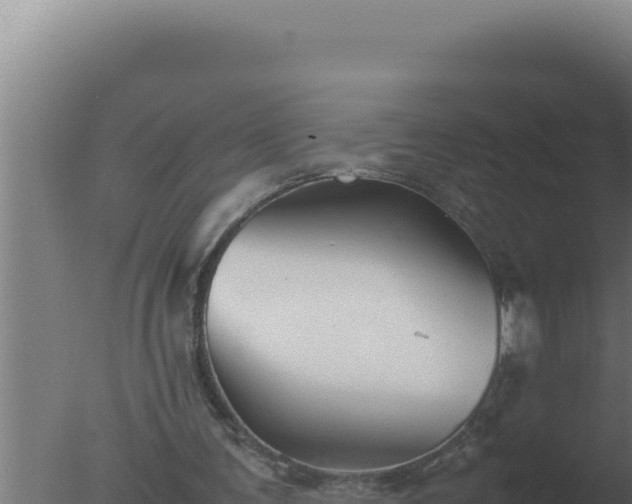 X0000077380291200610271953