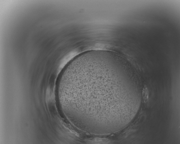 X0000077380292200610271953