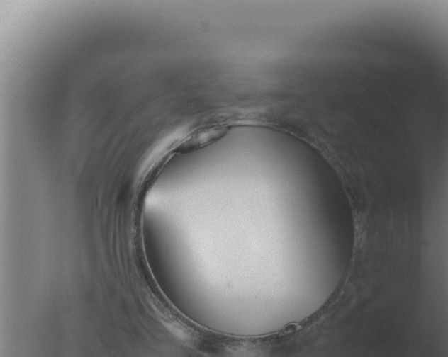 X0000077380293200610271953