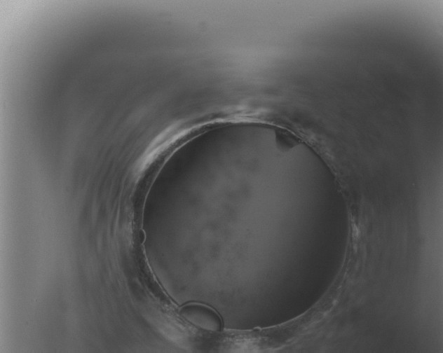 X0000077380295200610271953