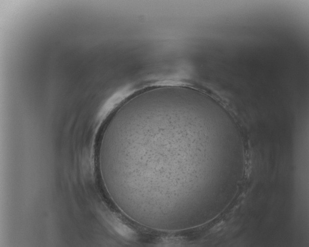 X0000077380296200610271953