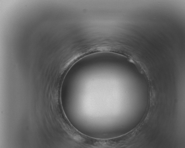 X0000077380297200610271953