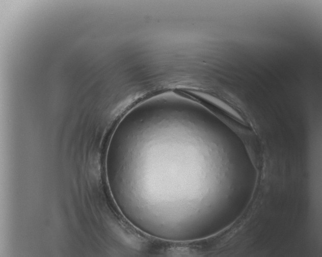 X0000077380298200610271953