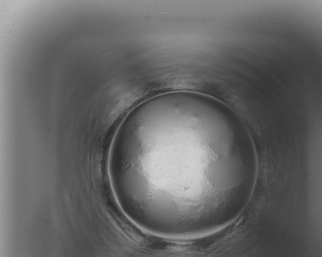 X0000077380299200610271953