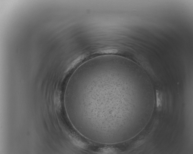 X0000077380300200610271953