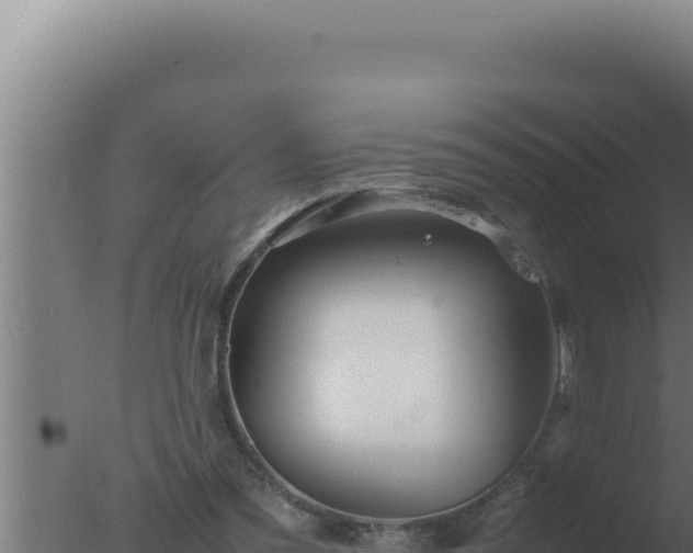 X0000077380301200610271953