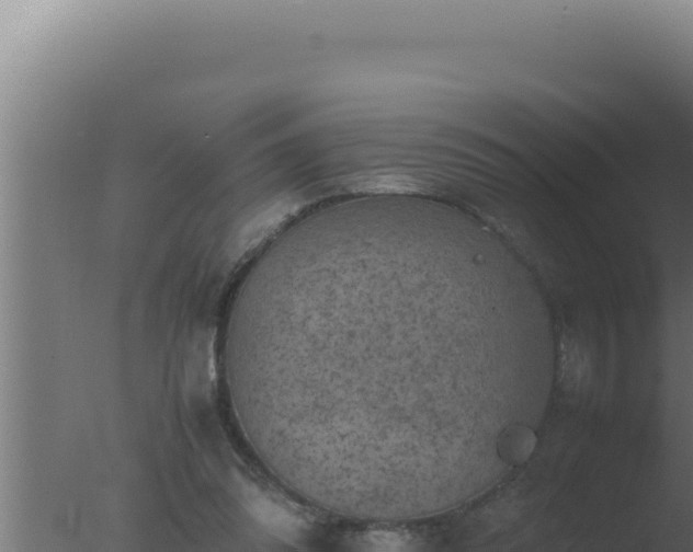 X0000077380302200610271953