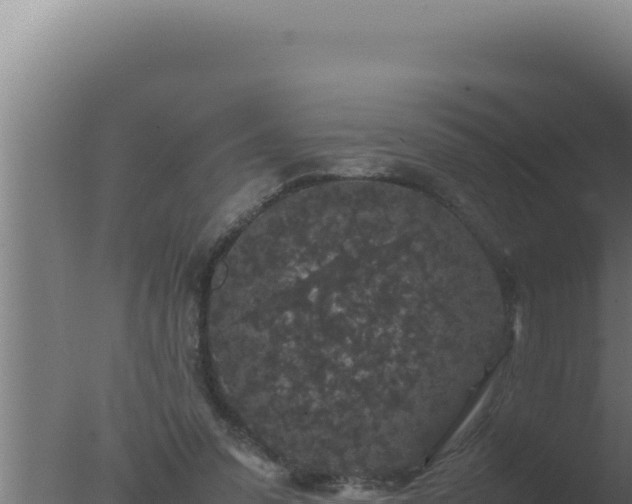 X0000077380303200610271953