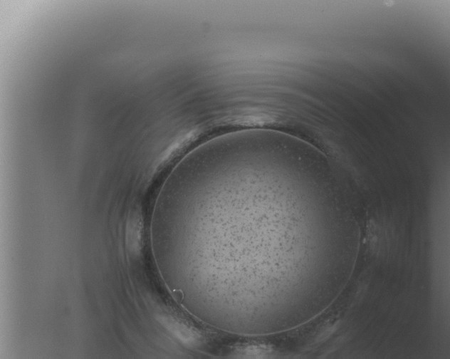 X0000077380304200610271953