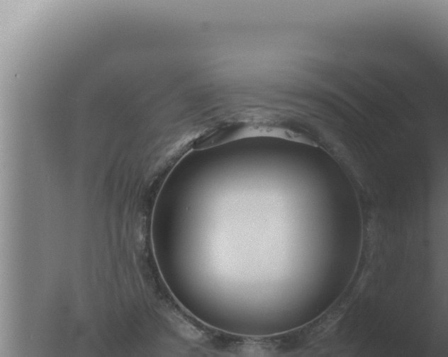 X0000077380305200610271953