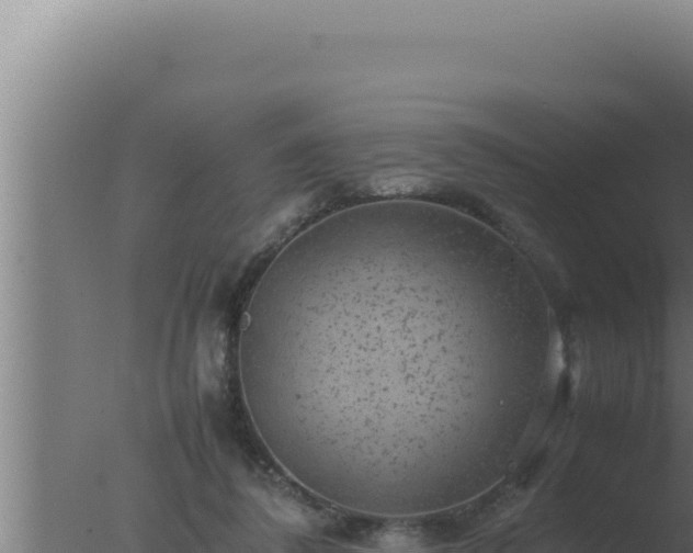 X0000077380308200610271953