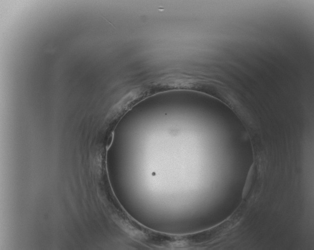 X0000077380309200610271953