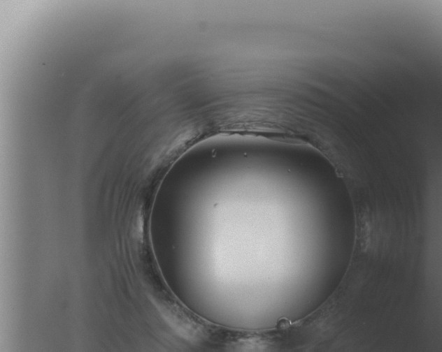 X0000077380310200610271953