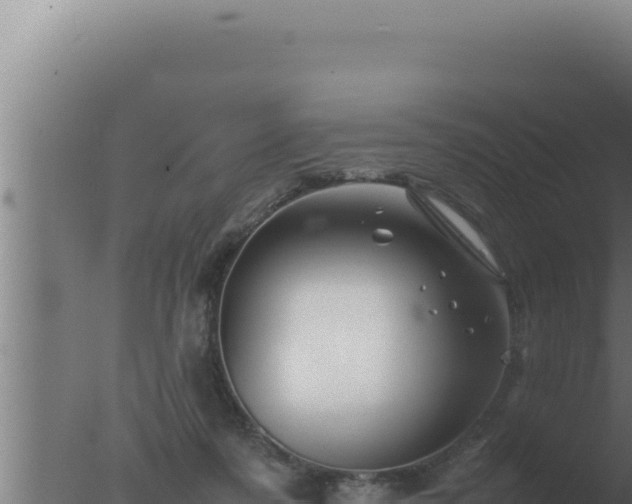 X0000077380311200610271953