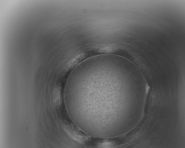 X0000077380312200610271953