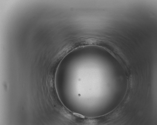 X0000077380313200610271953