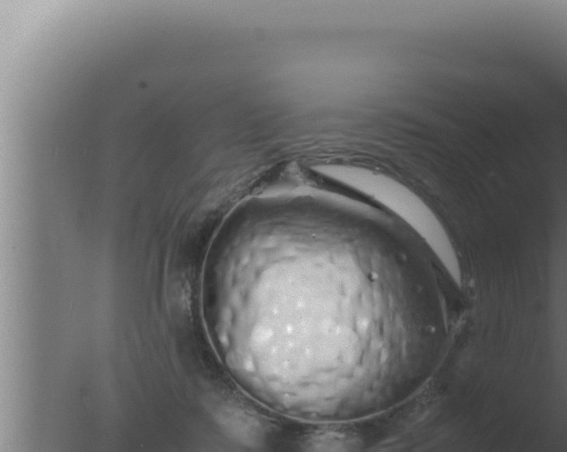 X0000077380315200610271953