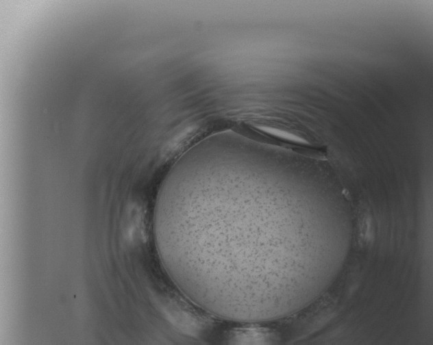 X0000077380316200610271953