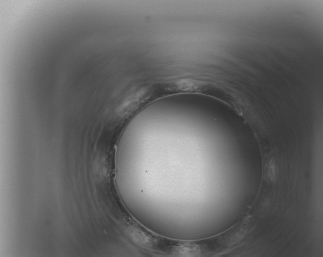 X0000077380317200610271953