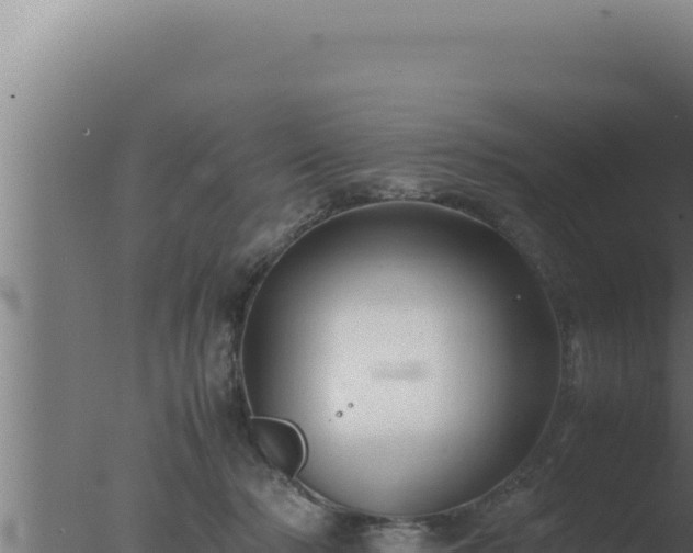 X0000077380318200610271953