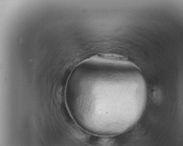 X0000077380319200610271953