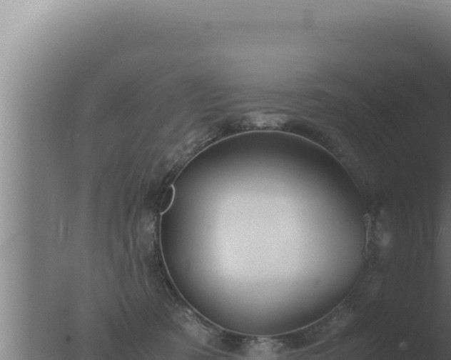 X0000077380321200610271953