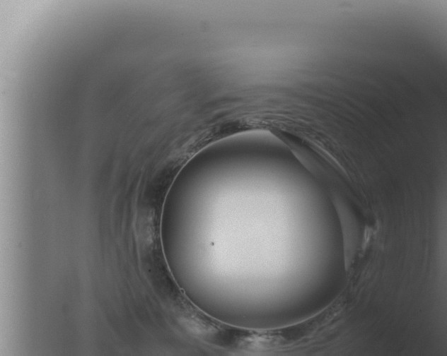 X0000077380323200610271953