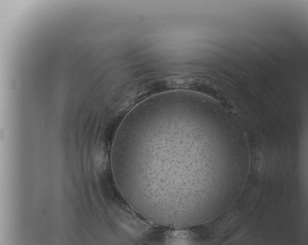 X0000077380324200610271953