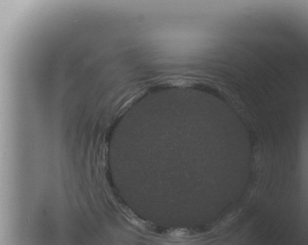 X0000077380325200610271953