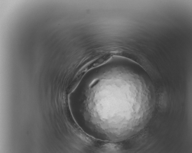 X0000077380326200610271953