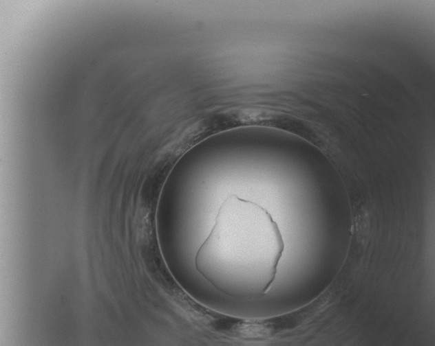 X0000077380327200610271952