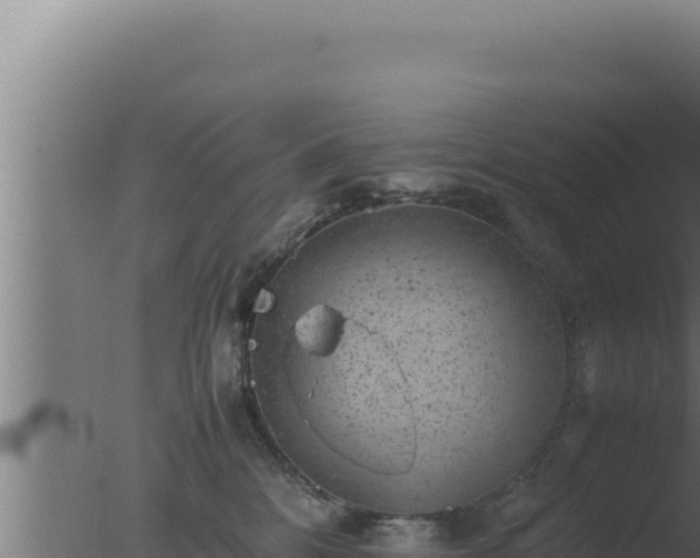 X0000077380328200610271952