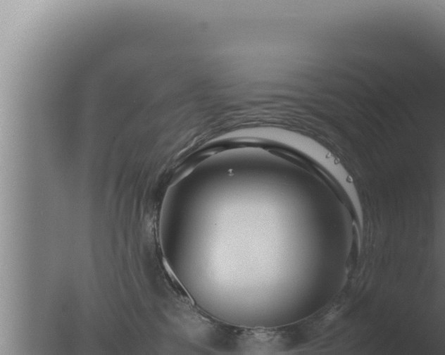 X0000077380329200610271952