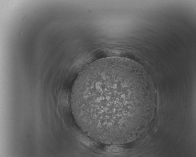 X0000077380331200610271952