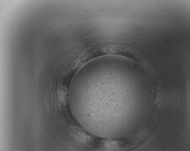 X0000077380332200610271952