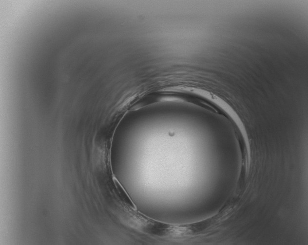 X0000077380333200610271952