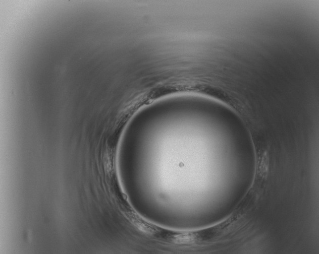 X0000077380335200610271952