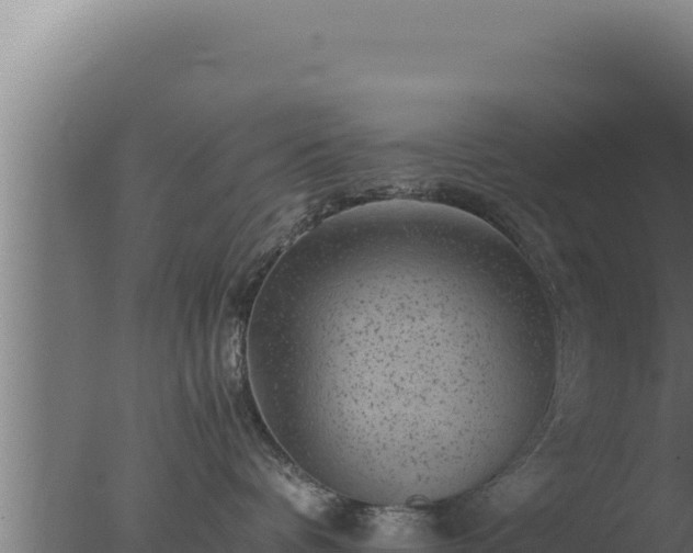 X0000077380336200610271952