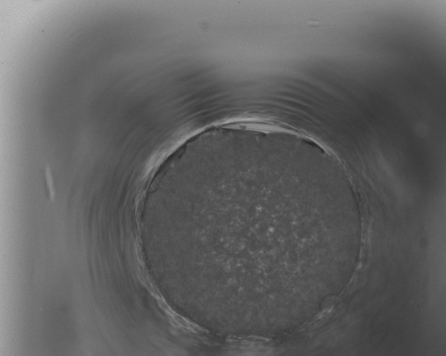 X0000077380337200610271952