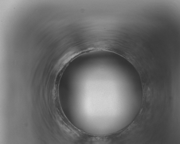 X0000077380338200610271952