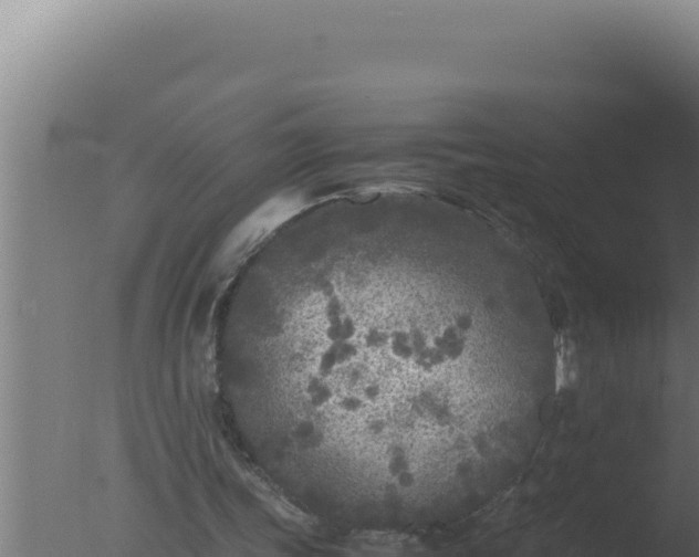 X0000077380339200610271952