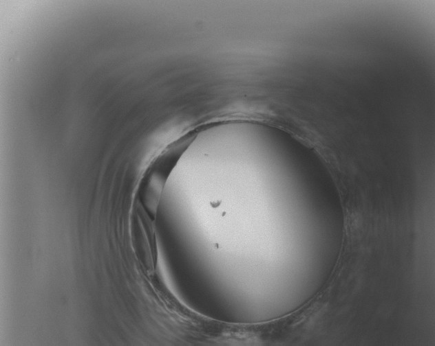 X0000077380340200610271952