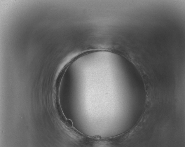 X0000077380342200610271952