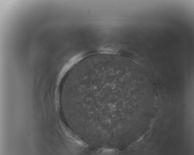 X0000077380343200610271952