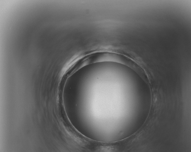 X0000077380344200610271952