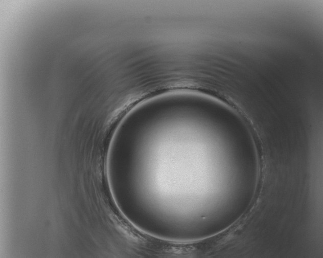 X0000077380345200610271952