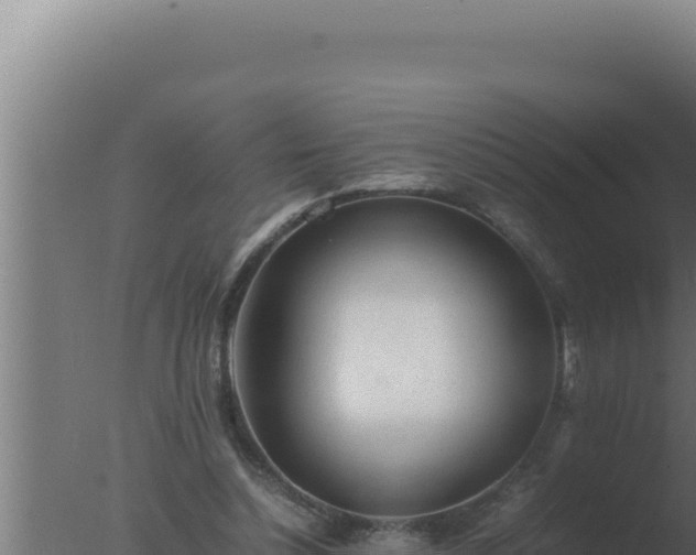 X0000077380348200610271952