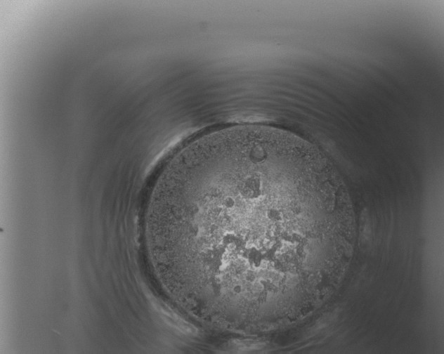 X0000077380351200610271952