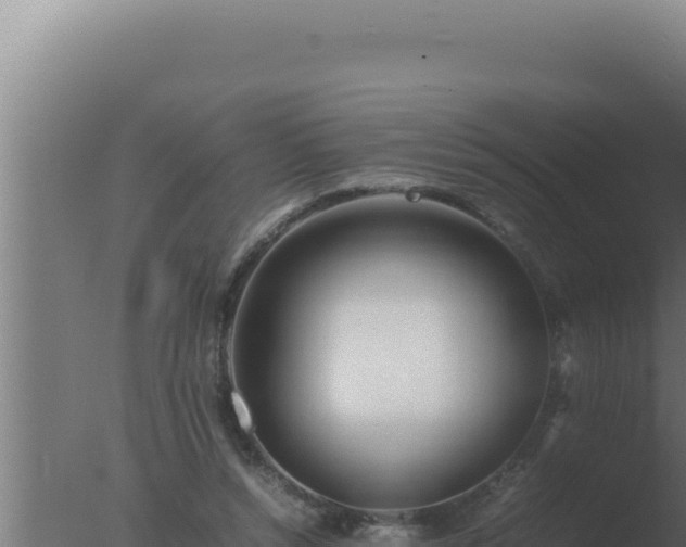 X0000077380352200610271952